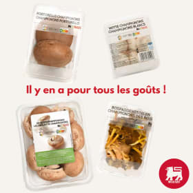 🍄✨ C’est la saison des champignons ! 